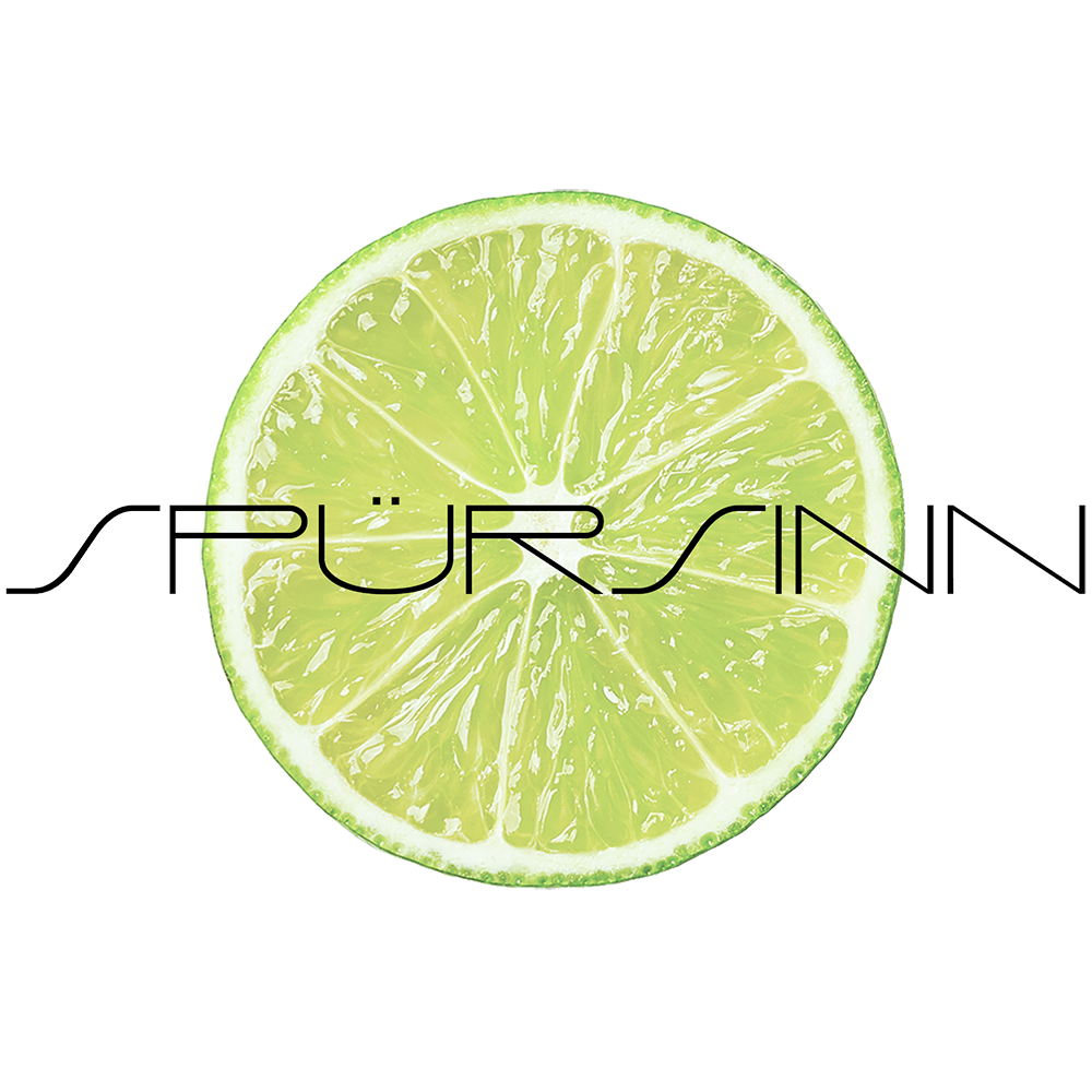 SPÜRSINN digitale kommunikation Logo